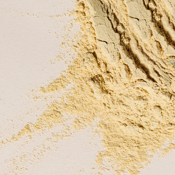 Nourishing Protein WelleCo — Polvo Post-Deporte Vegano